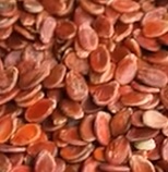 Seeds